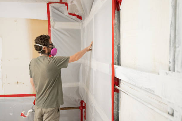 Best Black Mold Removal  in Thompsonville, CT