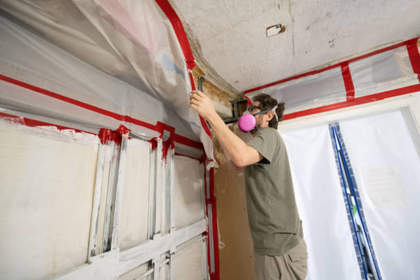 Best Mold Removal for HVAC Installations  in Thompsonville, CT