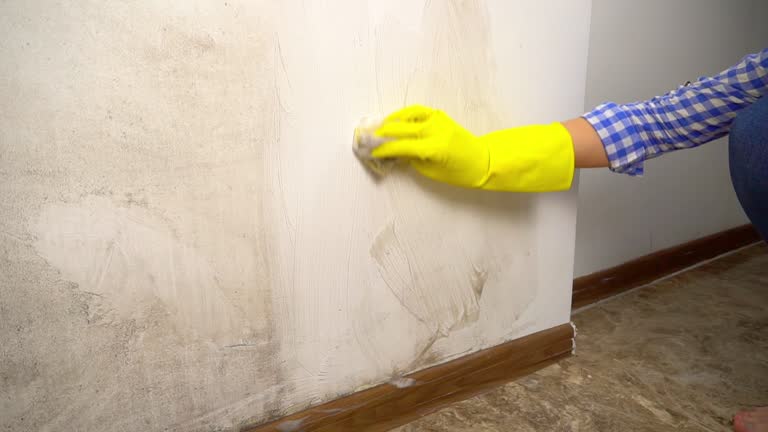 Best Asbestos and Lead Testing During Mold Inspection  in Thompsonville, CT