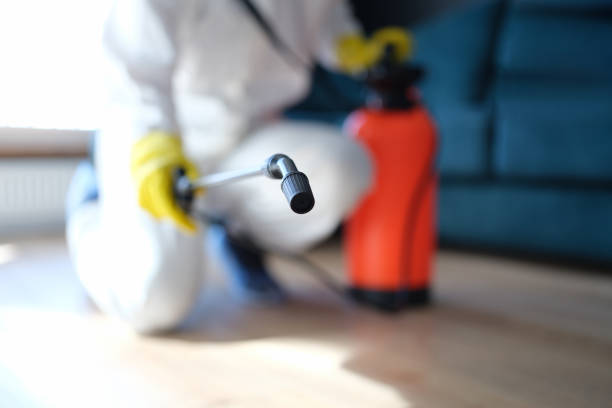 Trusted Thompsonville, CT Mold Removal Experts