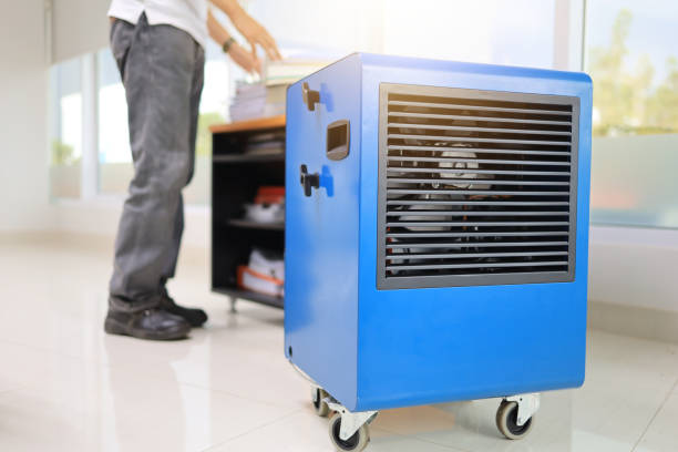 Best Residential Mold Inspection & Testing  in Thompsonville, CT