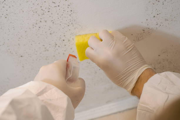 Best Forensic Mold Investigation  in Thompsonville, CT