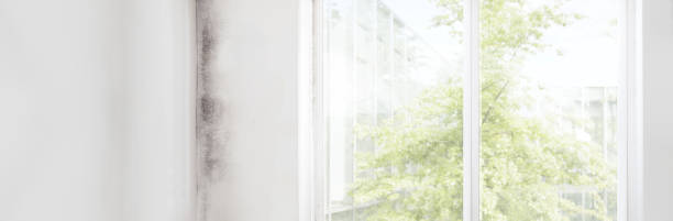 Best Indoor Air Quality Assessment  in Thompsonville, CT